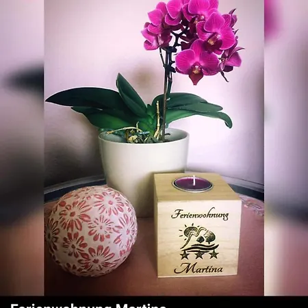 Daire Martina Medebach