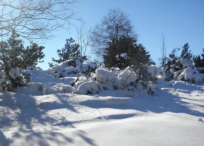 Martina メーデバッハ